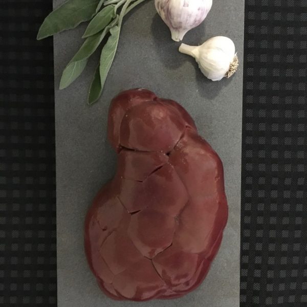 Bison Kidney Prairie Monarch Bison